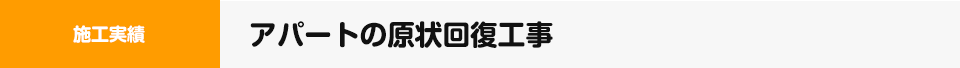 実績その3